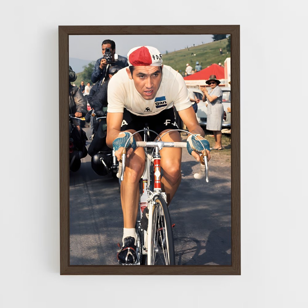 Poster Eddy de merckx – affiche Cyclisme (vue 5)